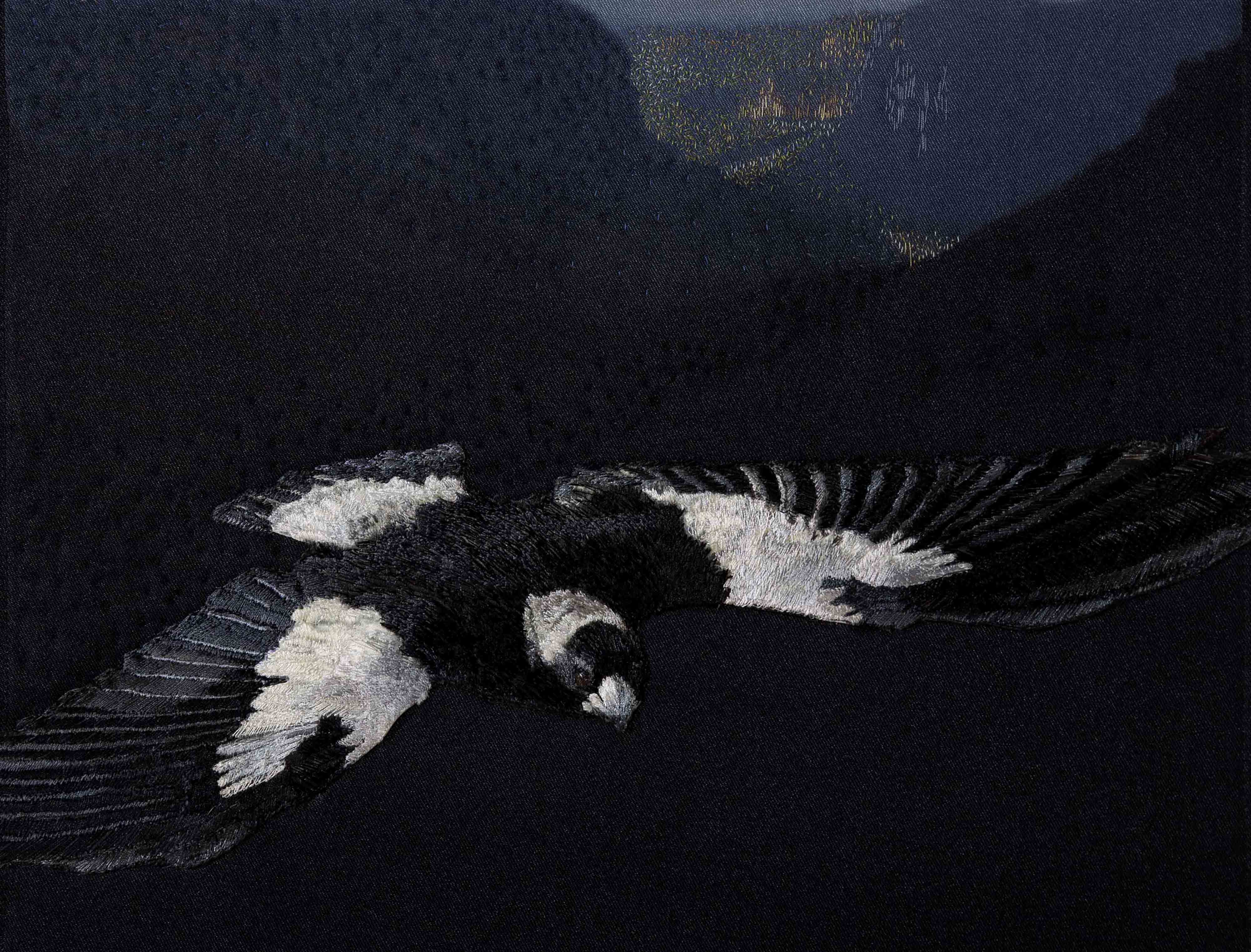 Image 8